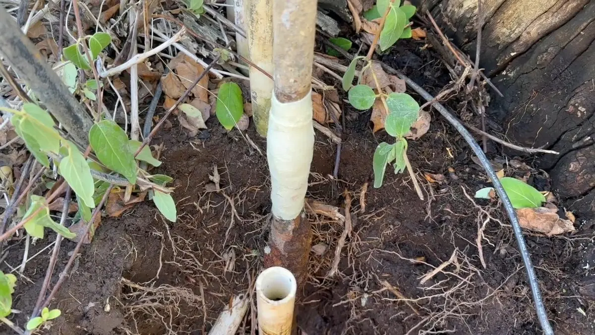 Water service line and meter connection work in soil during a plumbing service visit in La Vina
